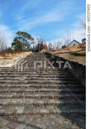 German Forest German Forest 60537403