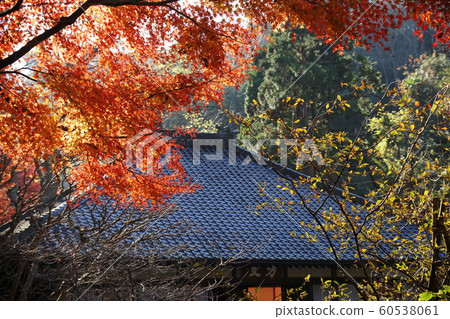 明月院 明月院 60538061