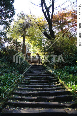 淨帝寺 淨帝寺 60538619