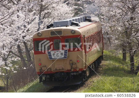 盛開櫻花的夷umi鐵道快車 盛開櫻花的夷umi鐵道快車 60538826