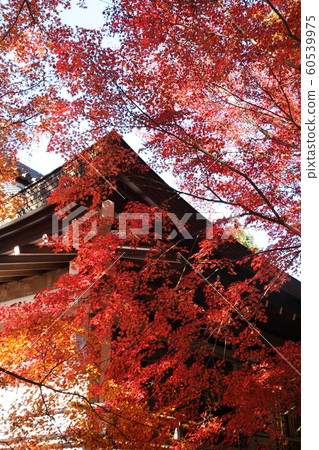 Sanzenin秋葉 60539975