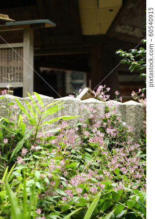 白雲神社 60540915