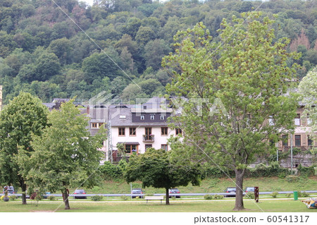 Rhine Rhine 60541317