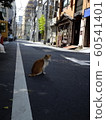 Cat back alley 60541401