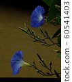 Flower morning glory 60541403