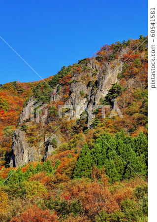 聖山的秋葉 60541581