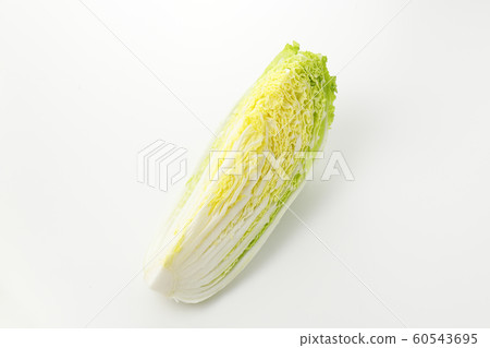 Cabbage Cabbage 60543695