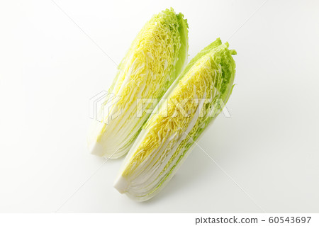 中國的白菜 中國的白菜 60543697