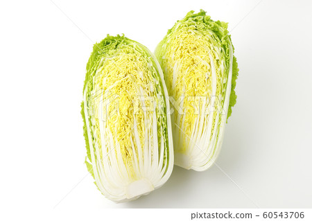 中國的白菜 中國的白菜 60543706