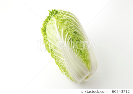 中國的白菜 中國的白菜 60543712