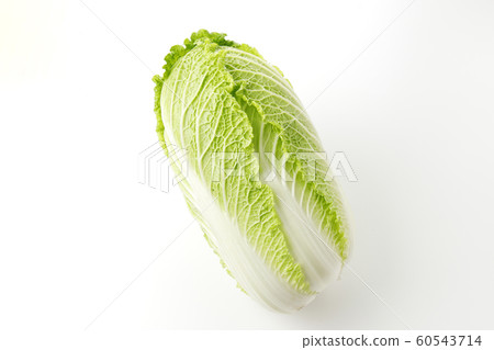 中國的白菜 60543714