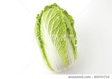 Cabbage 60543718