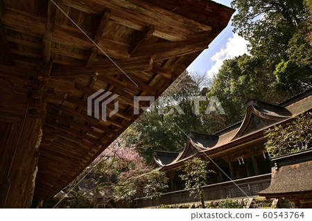 吉野山櫻花水分神社 60543764