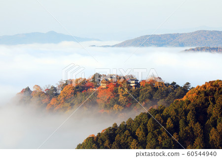 天上山城949 60544940