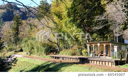 夷umi鐵道的紅葉 60545007