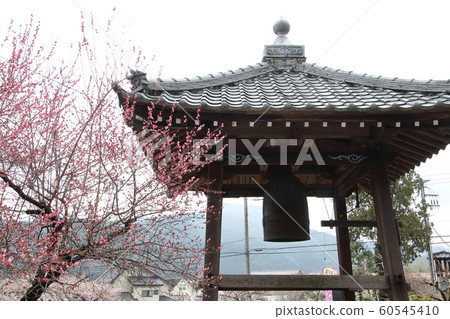 Village of Oshi Plum Village of Oshi Plum 60545410