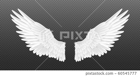 Realistic angel wings. White isolated pair of falcon wings, 3D bird wings design template. Vector concept 60545777