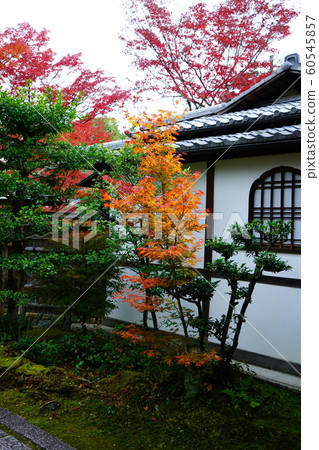 Kyoto Myoshinji Temple Dahoin 60545857