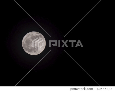 Full moon in the night sky with copyspace 60546228