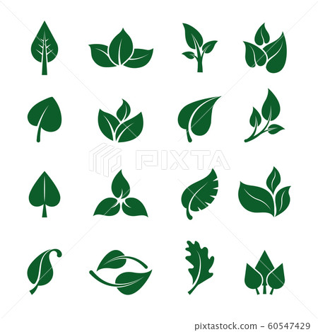 Leaves logo. Stylized green plants for eco business brand design projects clean nature garden 60547429