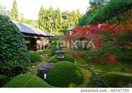 京都東山千石寺Unryuin秋葉 京都東山千石寺Unryuin秋葉 60547789