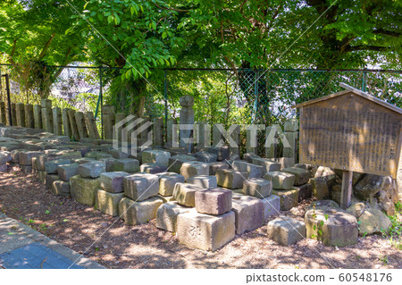 Fukuchiyama Castle stone wall conversion stone 60548176