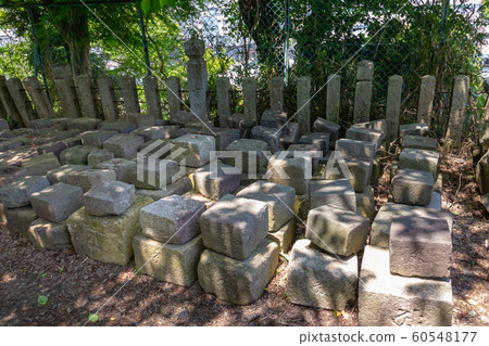 Fukuchiyama Castle stone wall conversion stone 60548177