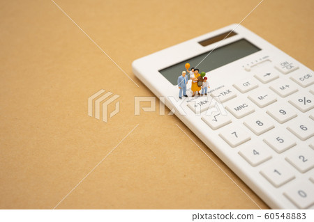 Family Miniature people Pay queue Annual income Family Miniature people Pay queue Annual income 60548883