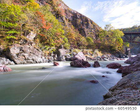 赤羽清壽峽谷的秋葉 60549530
