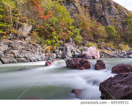 Autumn leaves of Akaiwa Seishou Gorge Autumn leaves of Akaiwa Seishou Gorge 60549531