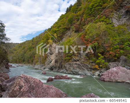 Autumn leaves of Akaiwa Seishou Gorge Autumn leaves of Akaiwa Seishou Gorge 60549541