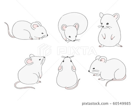 軟鼠標插圖6件套 60549985