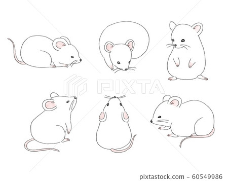 6白色鼠標插圖集 60549986