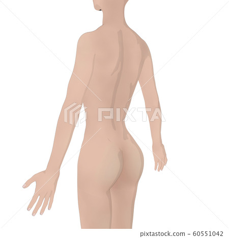 Body illustration female nude perming3DCG illustration material Body illustration female nude perming3DCG illustration material 60551042
