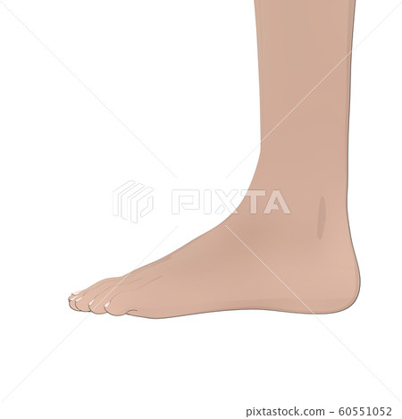 身體圖女性裸體perming3DCG插圖素材 身體圖女性裸體perming3DCG插圖素材 60551052