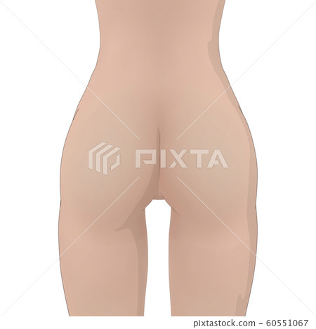 身體圖女性裸體perming3DCG插圖素材 60551067