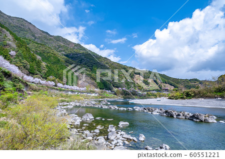 Spring Shimanto River 60551221