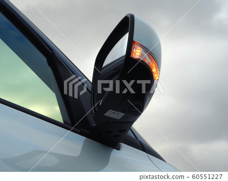 Door mirror with winker and camera Door mirror with winker and camera 60551227