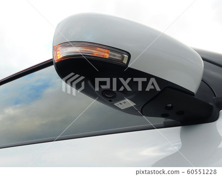 Door mirror with winker and camera Door mirror with winker and camera 60551228
