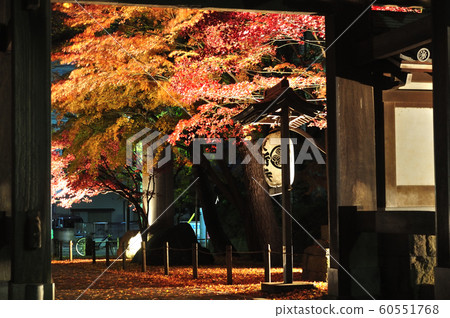 東寺寺點亮 東寺寺點亮 60551768