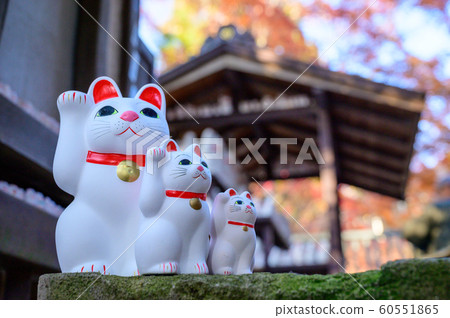[東京]世田谷，Gotokuji的招手貓 60551865