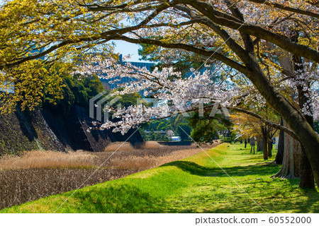 東京皇宮 60552000