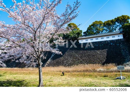 東京皇宮,乾燥街上的櫻花,藤見Pass口和蓮池Pass口 東京皇宮,乾燥街上的櫻花,藤見Pass口和蓮池Pass口 60552006