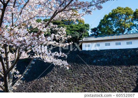 東京皇宮 60552007