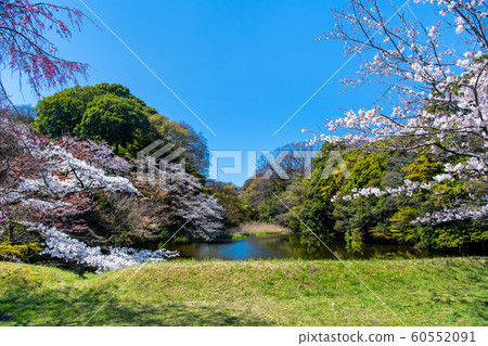 東京皇宮 東京皇宮 60552091