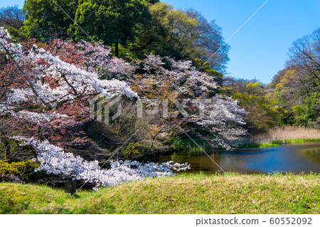 東京皇宮 60552092