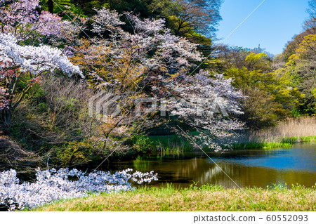 東京皇宮 東京皇宮 60552093