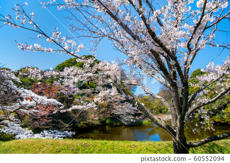 東京皇宮 60552094