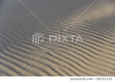 Desert Windscreen Desert Windscreen 60552325