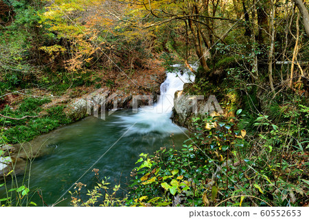 Autumn leaves of Hananuki Valley 60552653